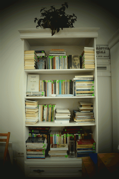 Biblioteca parohială Biblioteca parohială